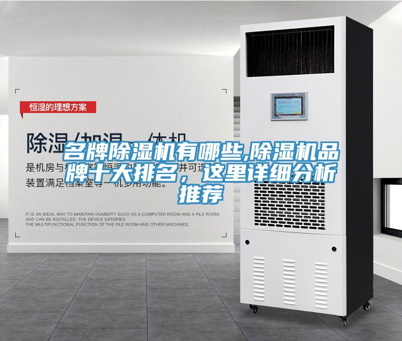 名牌除濕機有哪些,除濕機品牌十大排名，這里詳細分析推薦