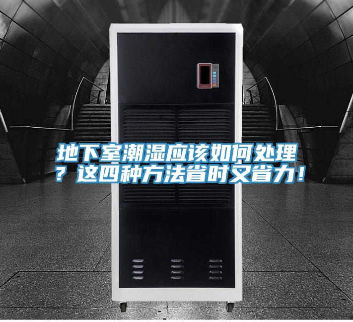 地下室潮濕應該如何處理？這四種方法省時又省力！