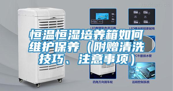 恒溫恒濕培養(yǎng)箱如何維護保養(yǎng)（附贈清洗技巧、注意事項）