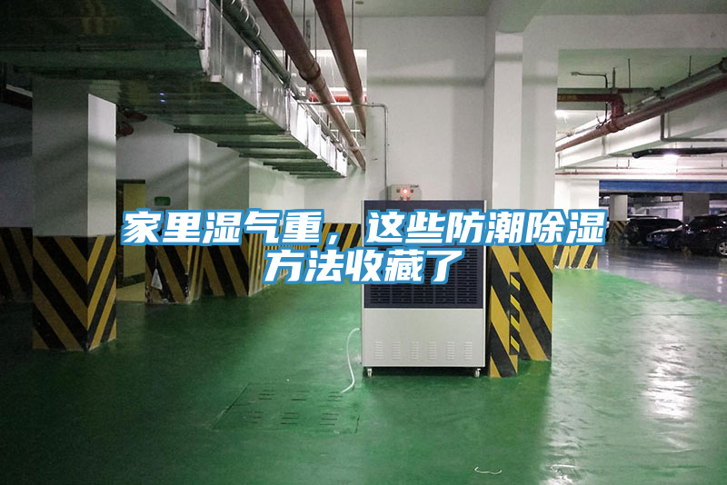 家里濕氣重，這些防潮除濕方法收藏了