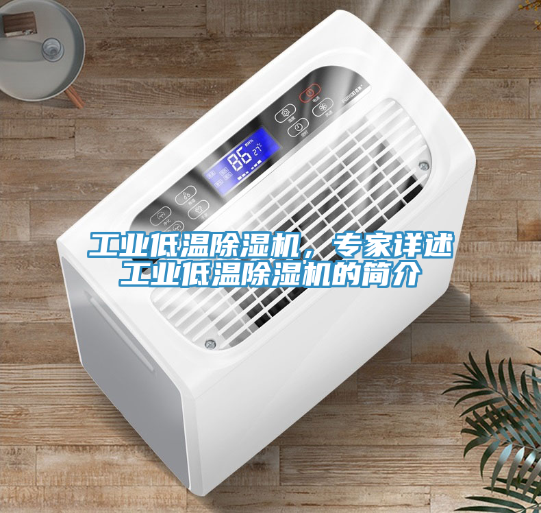 工業低溫除濕機，專家詳述工業低溫除濕機的簡介