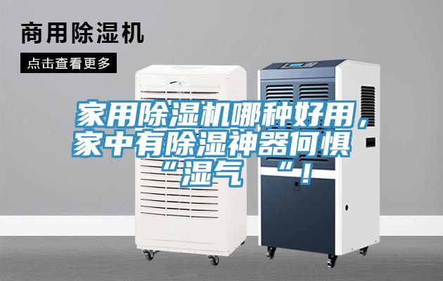 家用除濕機哪種好用，家中有除濕神器何懼 “濕氣 “！