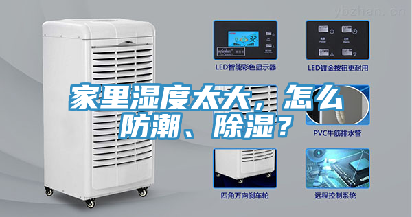 家里濕度太大，怎么防潮、除濕？