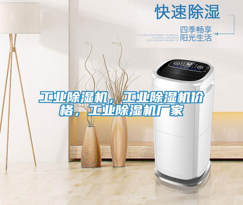 工業(yè)除濕機(jī)，工業(yè)除濕機(jī)價格，工業(yè)除濕機(jī)廠家