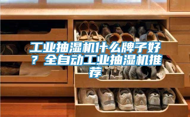 工業抽濕機什么牌子好？全自動工業抽濕機推薦