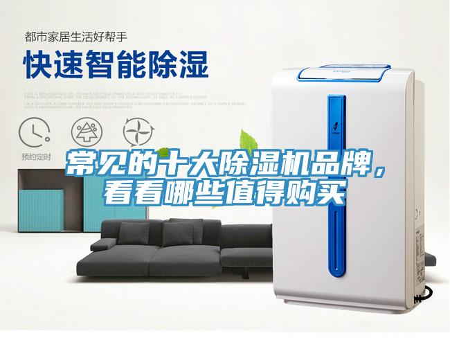 常見的十大除濕機品牌，看看哪些值得購買