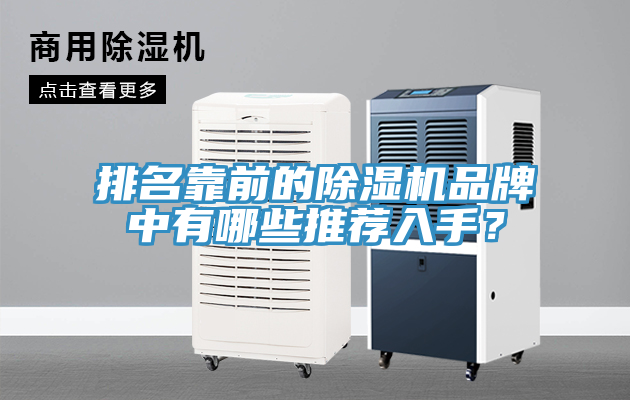 排名靠前的除濕機品牌中有哪些推薦入手？