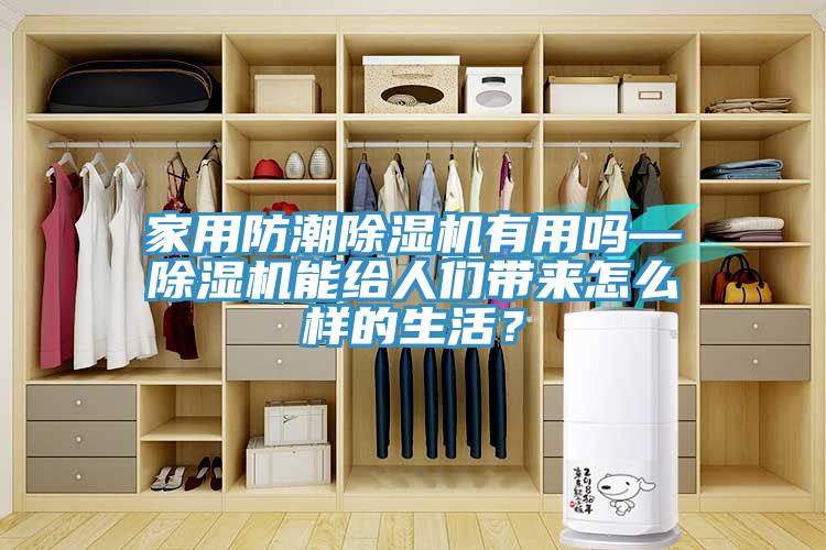 家用防潮除濕機有用嗎—除濕機能給人們帶來怎么樣的生活？