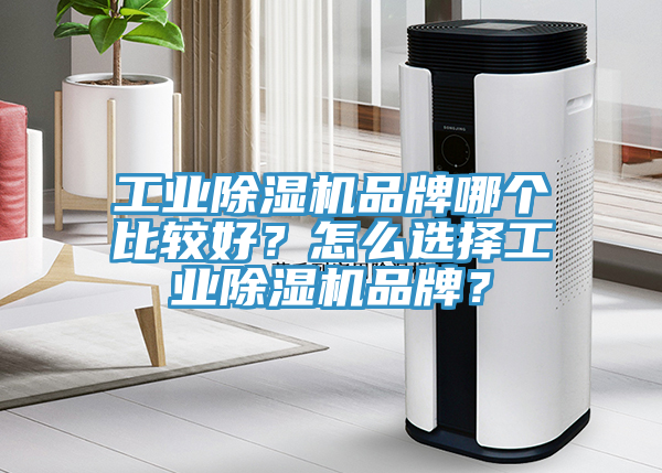 工業(yè)除濕機品牌哪個比較好？怎么選擇工業(yè)除濕機品牌？