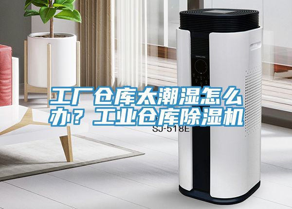 工廠倉庫太潮濕怎么辦？工業倉庫除濕機