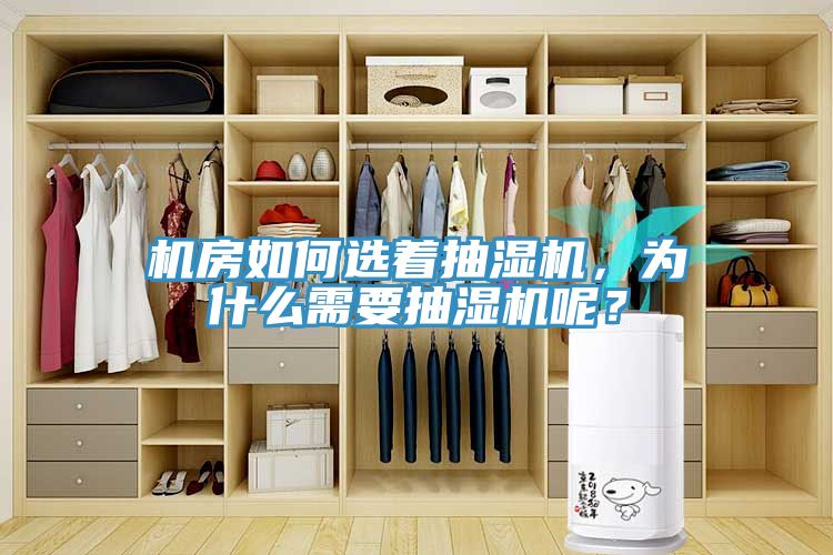 機(jī)房如何選著抽濕機(jī)，為什么需要抽濕機(jī)呢？