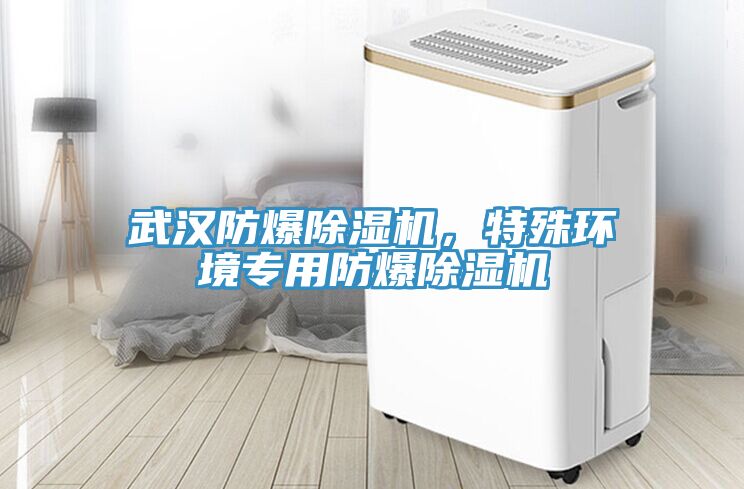 武漢防爆除濕機(jī)，特殊環(huán)境專用防爆除濕機(jī)