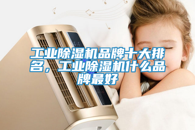 工業(yè)除濕機品牌十大排名，工業(yè)除濕機什么品牌最好