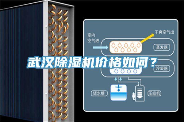 武漢除濕機(jī)價(jià)格如何？