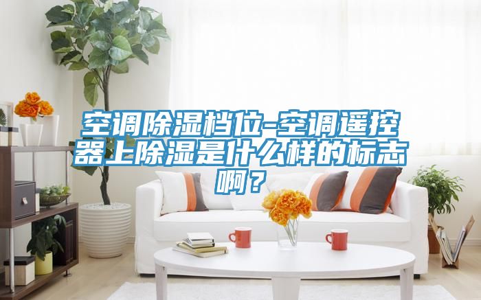 空調除濕檔位-空調遙控器上除濕是什么樣的標志??？
