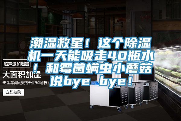 潮濕救星！這個(gè)除濕機(jī)一天能吸走40瓶水！和霉菌螨蟲(chóng)小蘑菇說(shuō)bye bye！