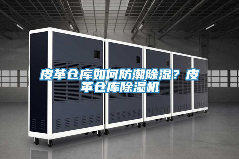 皮革倉(cāng)庫(kù)如何防潮除濕？皮革倉(cāng)庫(kù)除濕機(jī)