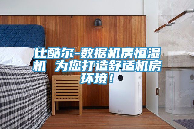 比酷爾-數據機房恒濕機 為您打造舒適機房環境！