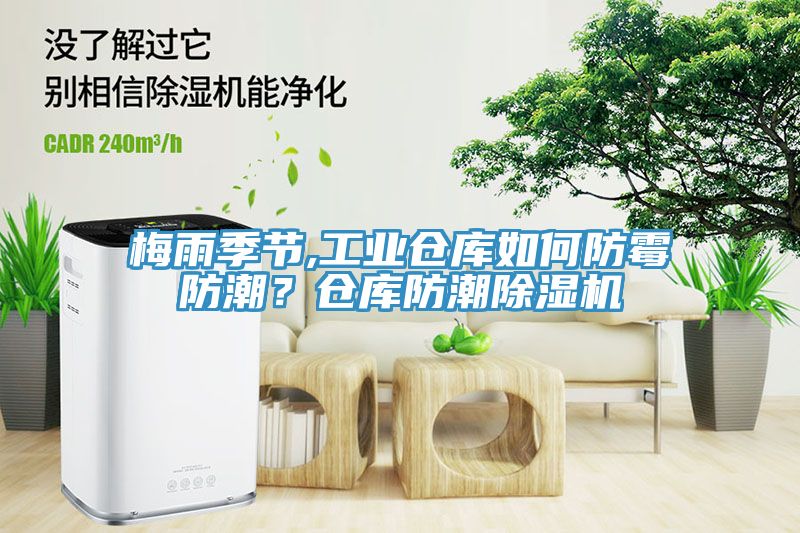 梅雨季節(jié),工業(yè)倉(cāng)庫(kù)如何防霉防潮？倉(cāng)庫(kù)防潮除濕機(jī)