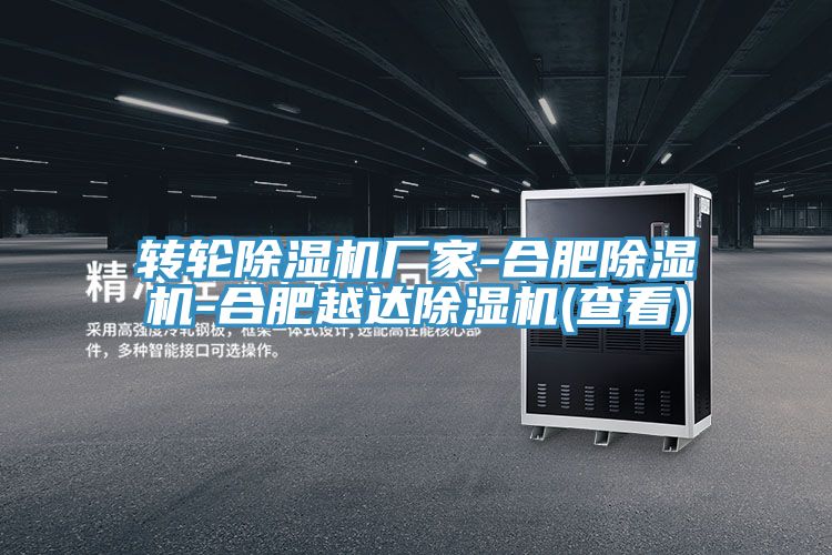 轉(zhuǎn)輪除濕機(jī)廠(chǎng)家-合肥除濕機(jī)-合肥越達(dá)除濕機(jī)(查看)