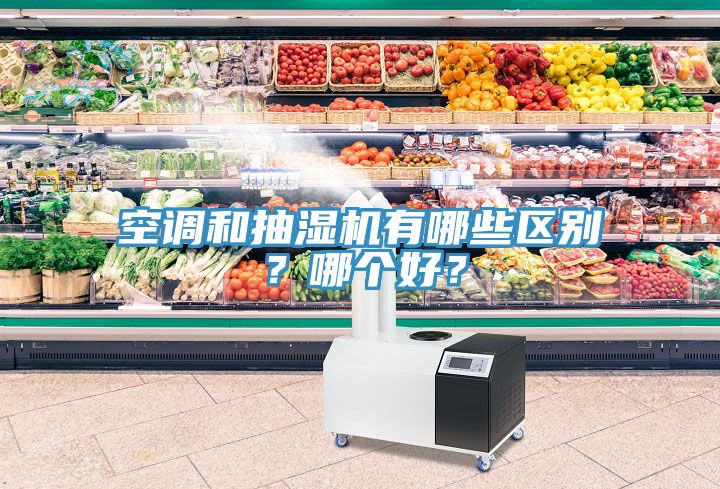 空調(diào)和抽濕機(jī)有哪些區(qū)別？哪個(gè)好？