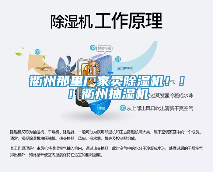 衢州那里廠家賣除濕機?。。♂橹莩闈駲C