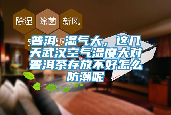 普洱 濕氣大，這幾天武漢空氣濕度大對(duì)普洱茶存放不好怎么防潮呢