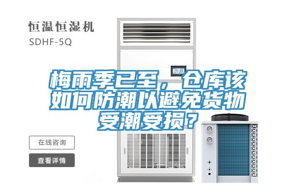 梅雨季已至，倉(cāng)庫(kù)該如何防潮以避免貨物受潮受損？