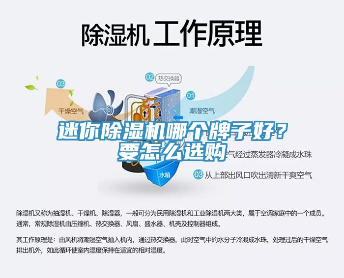 迷你除濕機哪個牌子好？要怎么選購