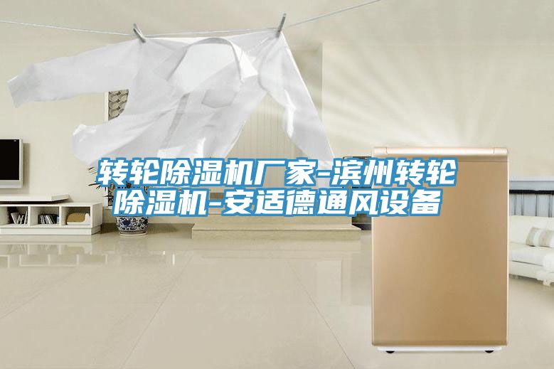 轉(zhuǎn)輪除濕機(jī)廠(chǎng)家-濱州轉(zhuǎn)輪除濕機(jī)-安適德通風(fēng)設(shè)備