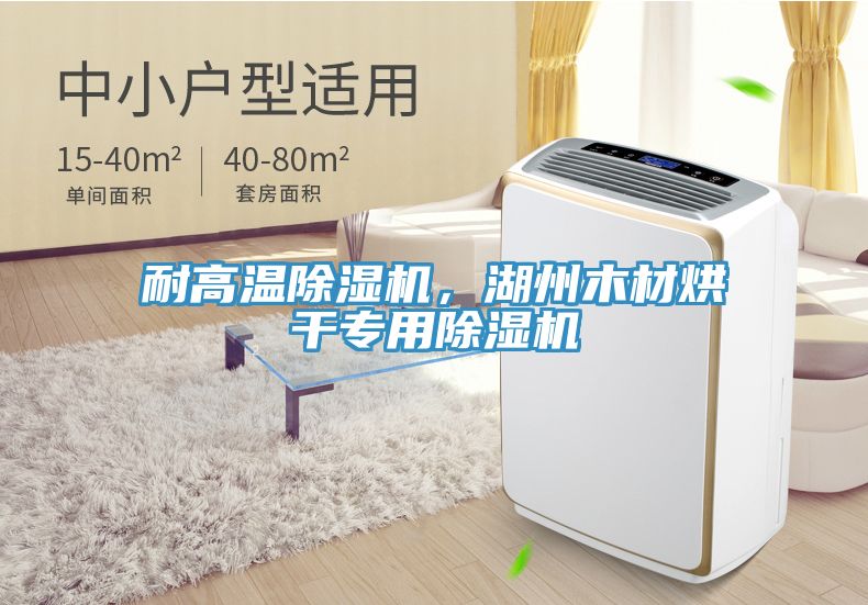 耐高溫除濕機，湖州木材烘干專用除濕機