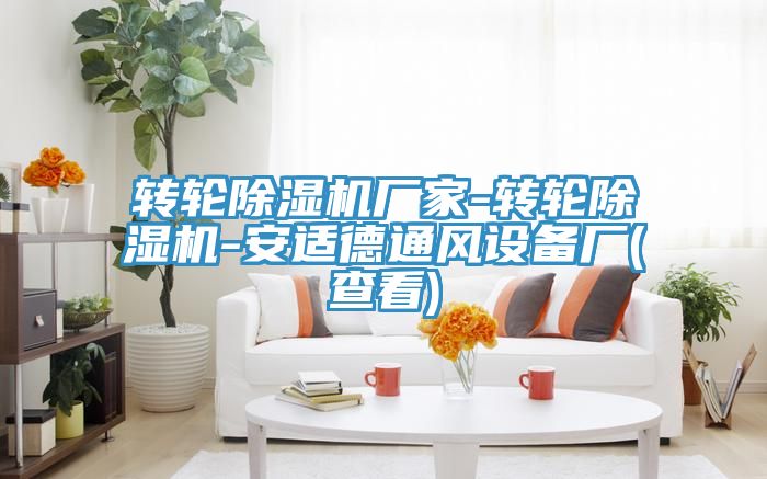 轉(zhuǎn)輪除濕機(jī)廠(chǎng)家-轉(zhuǎn)輪除濕機(jī)-安適德通風(fēng)設(shè)備廠(chǎng)(查看)