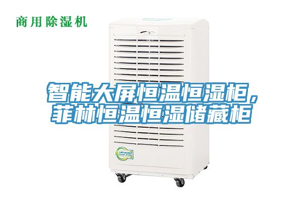 智能大屏恒溫恒濕柜，菲林恒溫恒濕儲藏柜