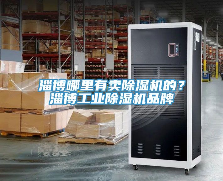 淄博哪里有賣(mài)除濕機(jī)的？淄博工業(yè)除濕機(jī)品牌