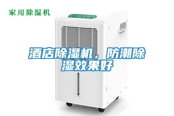 酒店除濕機，防潮除濕效果好