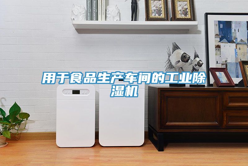 用于食品生產車間的工業(yè)除濕機