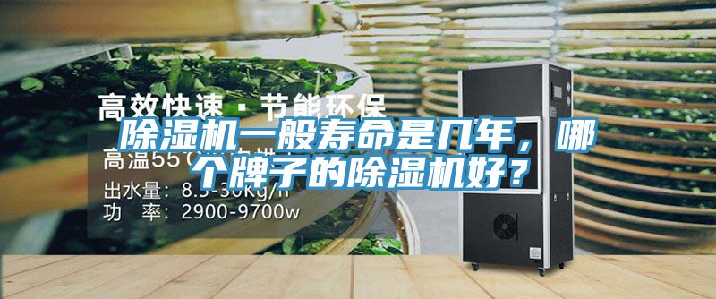 除濕機一般壽命是幾年，哪個牌子的除濕機好？