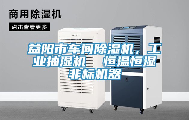 益陽(yáng)市車間除濕機(jī)，工業(yè)抽濕機(jī)  恒溫恒濕非標(biāo)機(jī)器