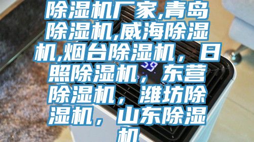 除濕機(jī)廠家,青島除濕機(jī),威海除濕機(jī),煙臺除濕機(jī)，日照除濕機(jī)，東營除濕機(jī)，濰坊除濕機(jī)，山東除濕機(jī)