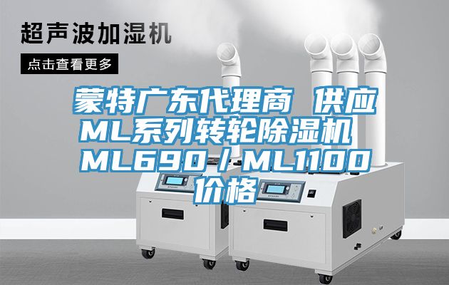 蒙特廣東代理商 供應ML系列轉(zhuǎn)輪除濕機 ML690／ML1100價格