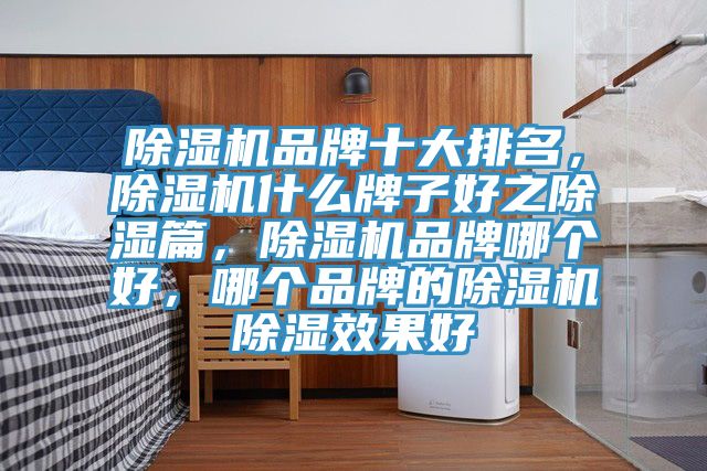 除濕機品牌十大排名，除濕機什么牌子好之除濕篇，除濕機品牌哪個好，哪個品牌的除濕機除濕效果好
