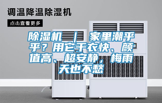 除濕機 ｜ 家里潮乎乎？用它干衣快、顏值高、超安靜，梅雨天也不愁