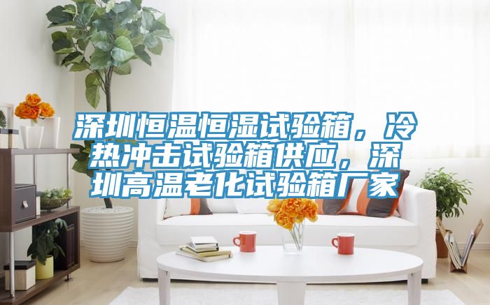 深圳恒溫恒濕試驗箱，冷熱沖擊試驗箱供應，深圳高溫老化試驗箱廠家