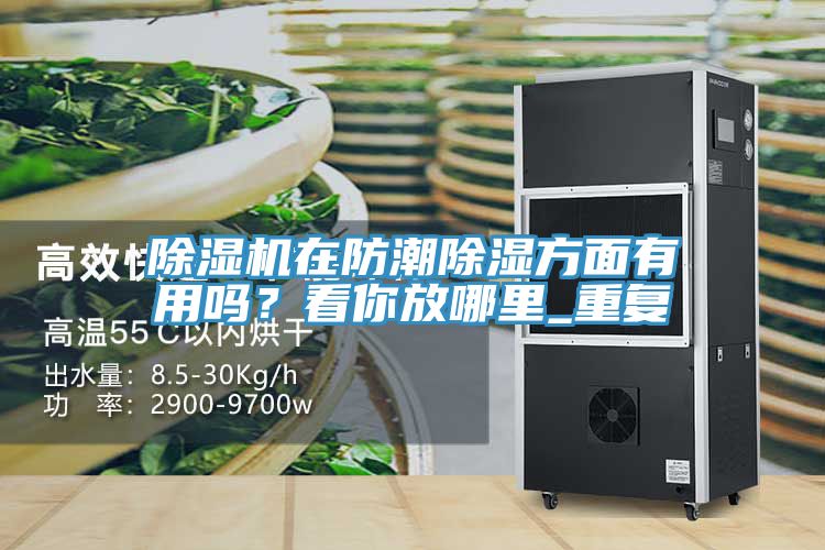 除濕機在防潮除濕方面有用嗎？看你放哪里_重復