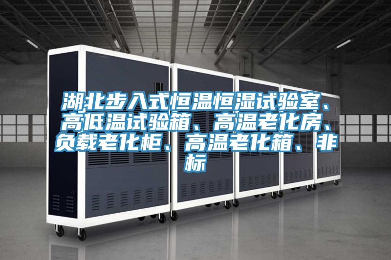 湖北步入式恒溫恒濕試驗室、高低溫試驗箱、高溫老化房、負載老化柜、高溫老化箱、非標