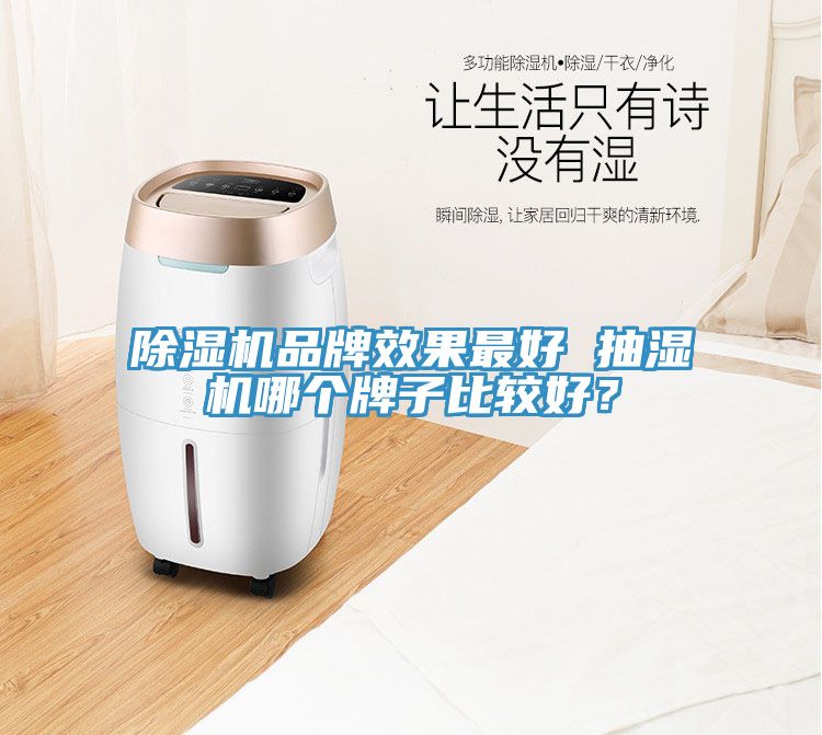 除濕機品牌效果最好 抽濕機哪個牌子比較好？