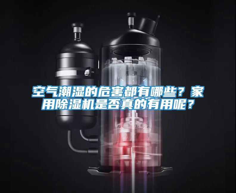 空氣潮濕的危害都有哪些？家用除濕機是否真的有用呢？