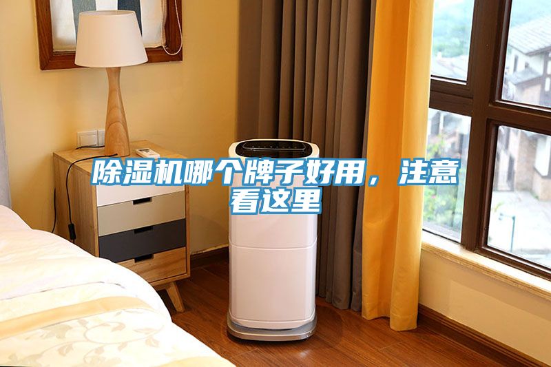 除濕機(jī)哪個(gè)牌子好用，注意看這里