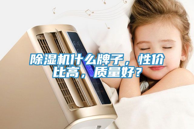 除濕機(jī)什么牌子，性?xún)r(jià)比高，質(zhì)量好？