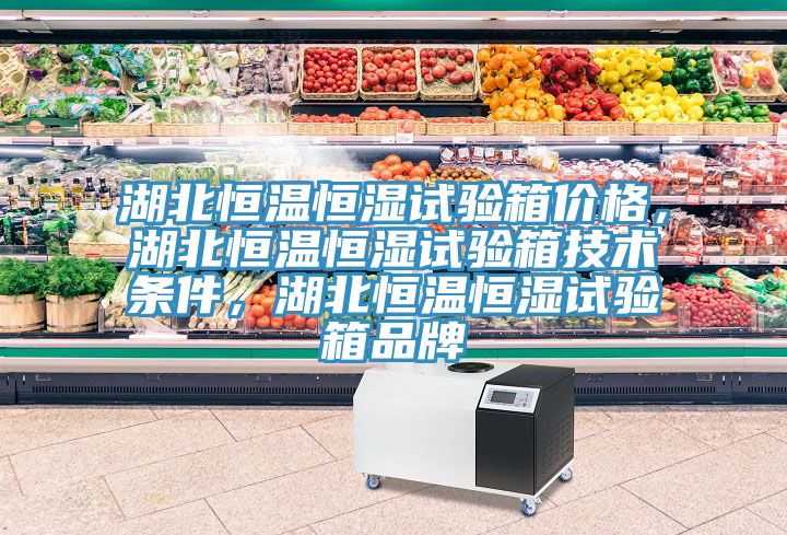 湖北恒溫恒濕試驗箱價格，湖北恒溫恒濕試驗箱技術條件，湖北恒溫恒濕試驗箱品牌